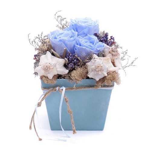 Irigo kék virágdoboz és In eterno kék rózsa kagylók