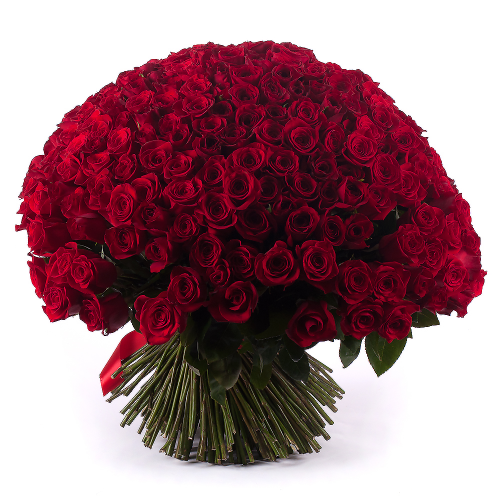 Amore vörös rózsák 250