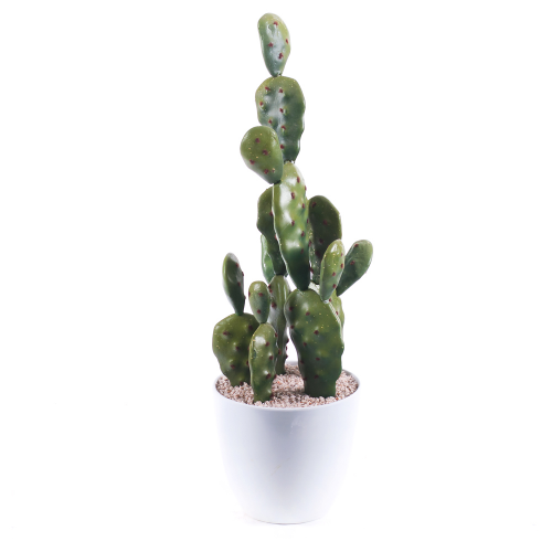 Irigo mű kaktusz fehér cserépben